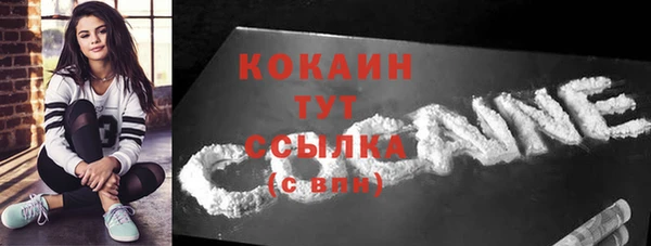 крисы Михайловка