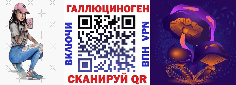 Псилоцибиновые грибы Psilocybine cubensis  Любань 